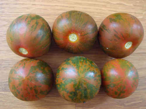 Weinberg-Tomate aus Italien, schwarz gestreift