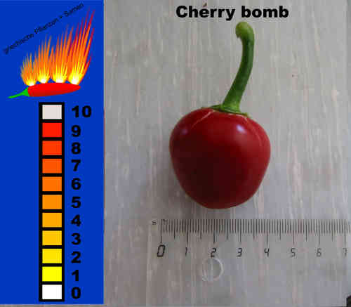 Cherry bomb, scharfer Kirschchili