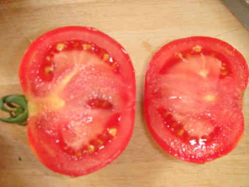 griechische Tomate, alte Sorte
