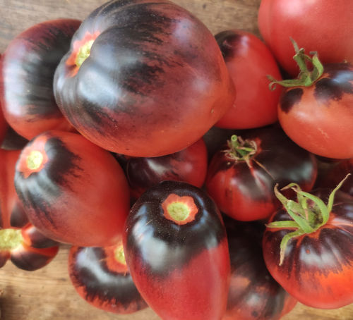 STG PEPPER Tomaten schwarz rot historische Sorte 10 Samen Herztomate Tomate